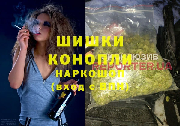 spice Богородицк