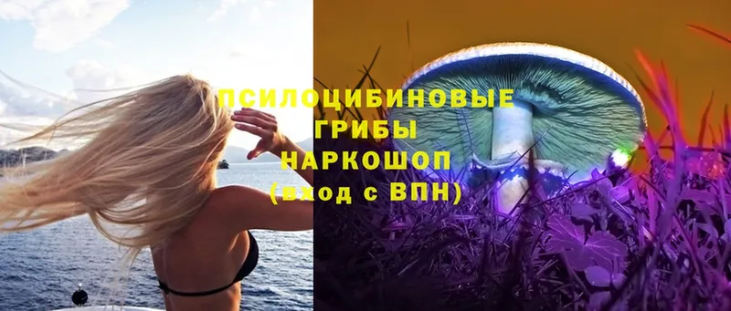 Псилоцибиновые грибы MAGIC MUSHROOMS  hydra зеркало  Клинцы 